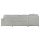 Devonshire - Sleeper Sectional Sofa Storage Chaise