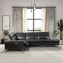 Zander - Reclining Sectional Sofa - Black