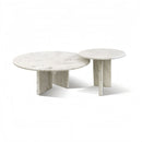 Elegant Coffee Duo Table Set
