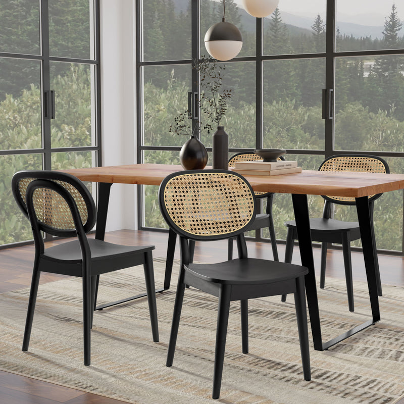 Rachel - Dining Chair (Set of 2)