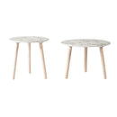 Nature-Inspired Side Tables (Set of 2)