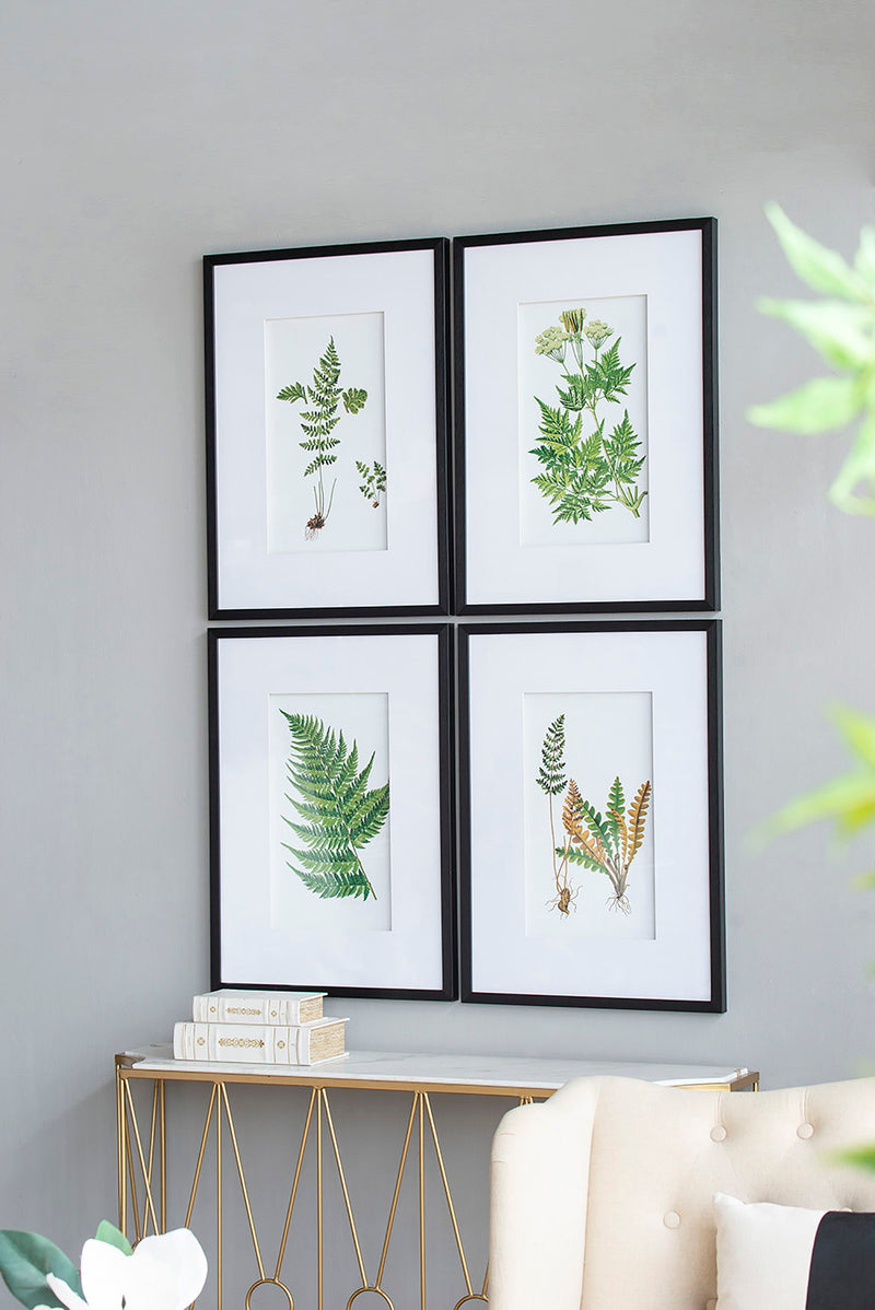 Botanical Fern Wall Art, Wall Decor For Living Room Dining Room Entryway (Set of 4) - Black / White