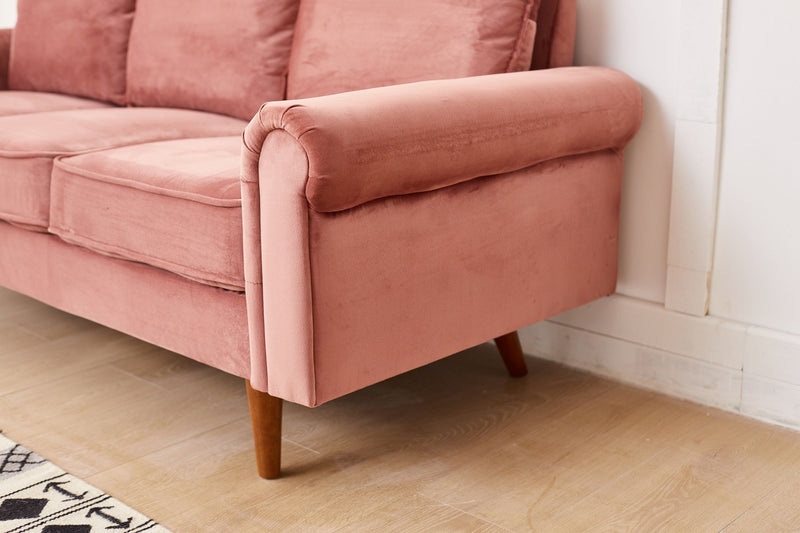 Graceful Design Plush Comfort Sofa