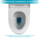 1 Piece Toilet, Soft Closing Seat - White