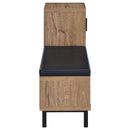 Teller - 1-Door Entryway Shoe Storage Bench - Natural Oak