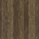 Carolyn - 2 Door Engineered Accent Wood Cabinet - Rustic Oak