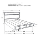 Miranda - Storage Wood Panel Bed