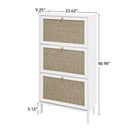 Modern Rattan 3 Door Shoe Rack Cabinet For Entryway
