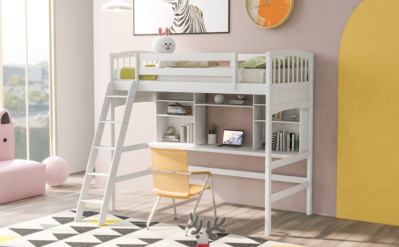 Twin size Loft Bed with Storage Shelves, Desk and Ladder, White(OLD SKU :LP000140KAA)