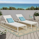 Outdoor Nylon Mesh Chaise Lounge, (Set of 2)