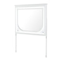 Brenda - Mirror With LED Lighting And Accent Detailing - Gray