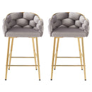 Modern Counter Stools (Set of 2)