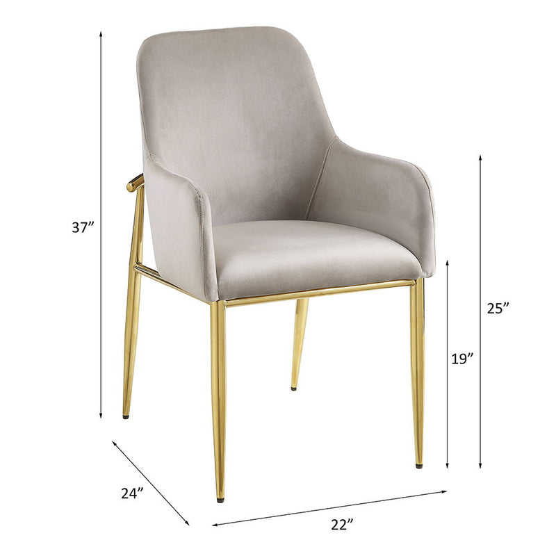 Barnard - Side Chair (Set of 2) - Gray Velvet & Mirrored Gold Finish - Atlantic Fine Furniture Inc