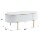 Daveigh - Coffee Table - White High Gloss & Gold