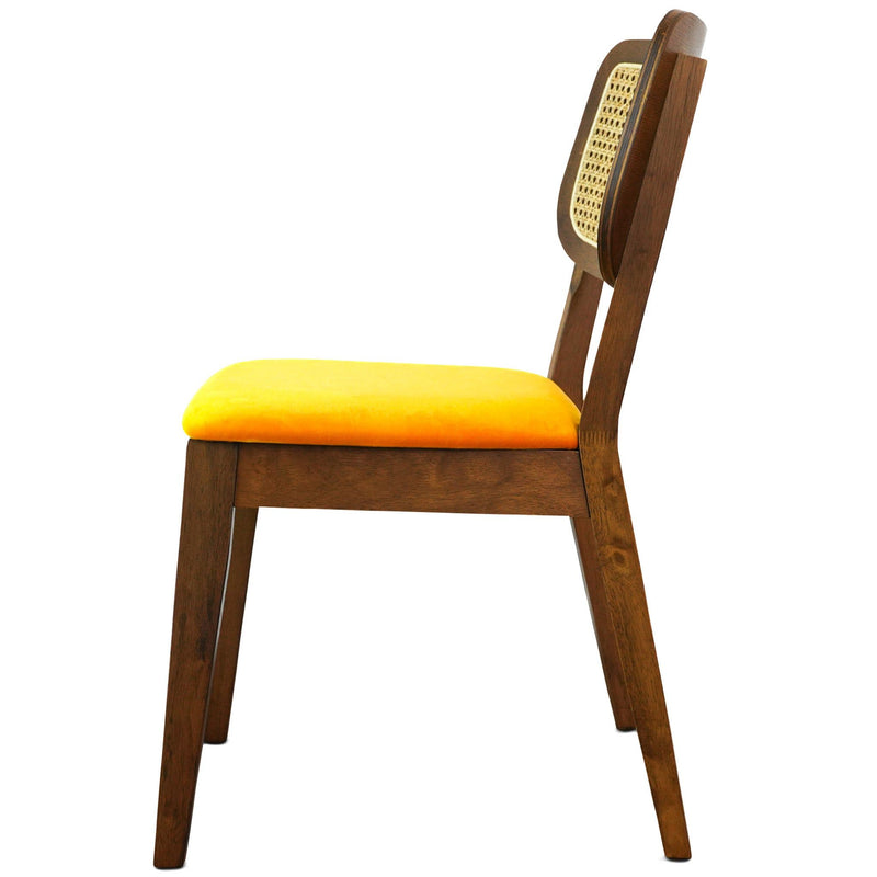 Kaden - Elegant Design Dining Chair (Set of 2)