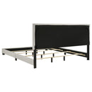 Dorian - Upholstered Panel Bed