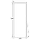 Soline - Framed Standing Floor Mirror - Silver