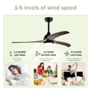 Indoor Outdoor Ceiling Fan With Light With Remote Control, Noiseless Reversible Motor, 6 Speed, 3 Color