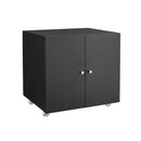 Office Furniture Copier Cabinet 2 Door Steel Copier Stand Mobile Pedestal File Printer Stand