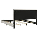 Dorian - Upholstered Panel Bed