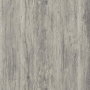 Enoch - 2 Door Engineered Wood Accent Cabinet - Gray Driftwood - Atlantic Fine Furniture Inc