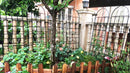 Metal Garden Rustproof Trellis For Climbing Plants Outdoor Flower Support