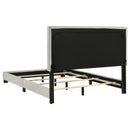 Dorian - Upholstered Panel Bed