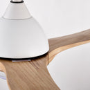 Indoor Outdoor Ceiling Fan With Light With Remote Control, Noiseless Reversible Motor, 6 Speed, 3 Color