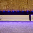 Chenille 2 Seater Sofa With LED Light, USB Charging Port, And Storage Bag