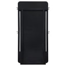 Leandro - 76" Full Length Floor Mirror - Burnished Black