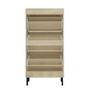 Modern Rattan 3 Door Shoe Rack Cabinet For Entryway