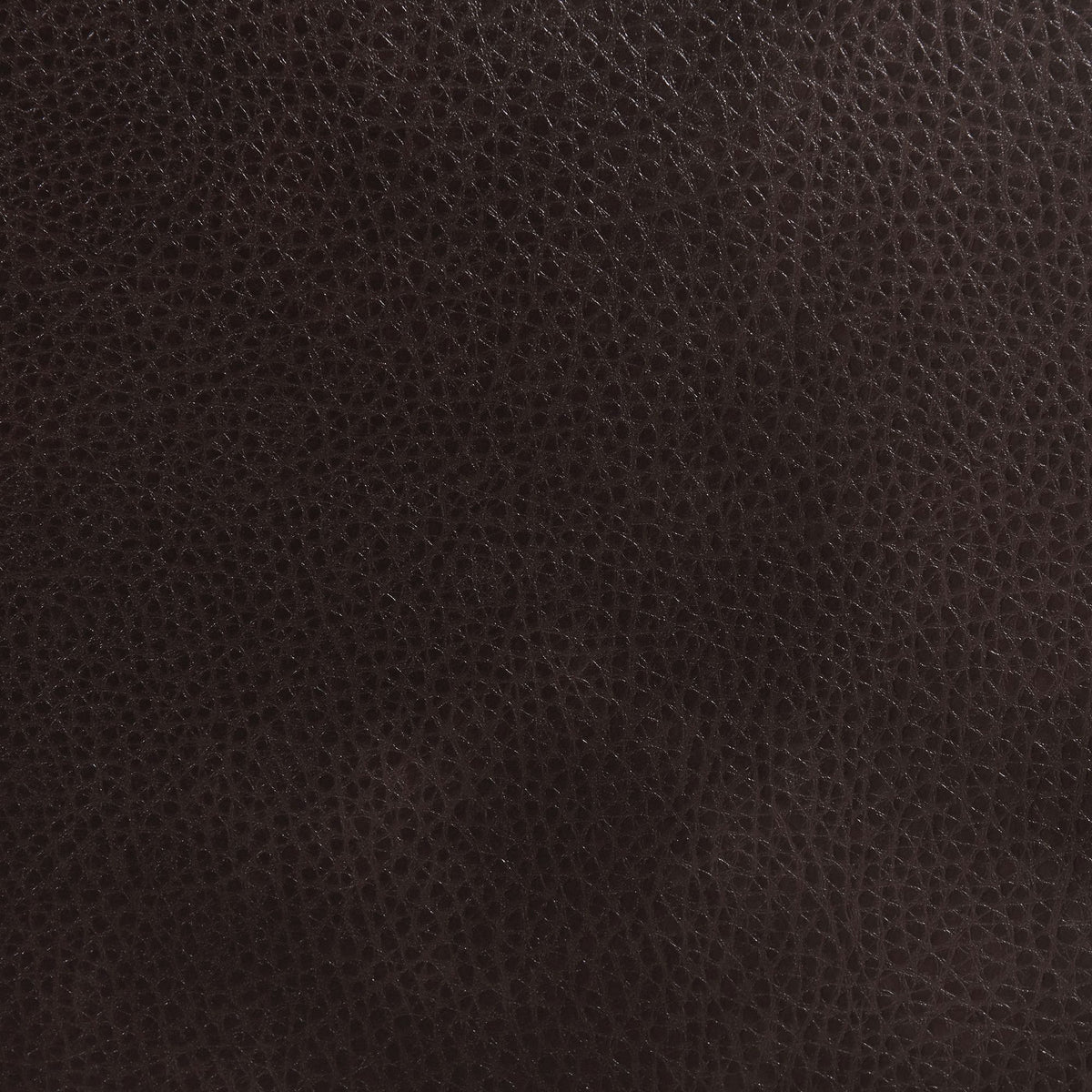 Destiny Chair With Wood Front in Dark Brown by Elements International, view 12