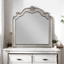 Esteban - Mirror - Antique Champagne - Atlantic Fine Furniture Inc