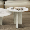 Elegant Coffee Duo Table Set