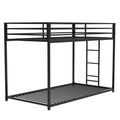 Adam - Bunk Bed