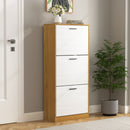 Modern Freestanding Shoe Storage Cabinet With 3 Flip Drawers