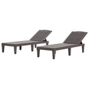 2 Piece Outdoor Chaise Lounges With Adjustable Backrest