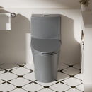 1 Piece Toilet With Dual Flush And Soft Closing Seat