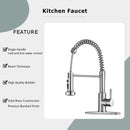 Kitchen Faucet With Pull Down Spray Head - Brushed Nickel