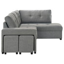 Roanne - Fabric Upholstered Sleeper Sectional Sofa - Gray