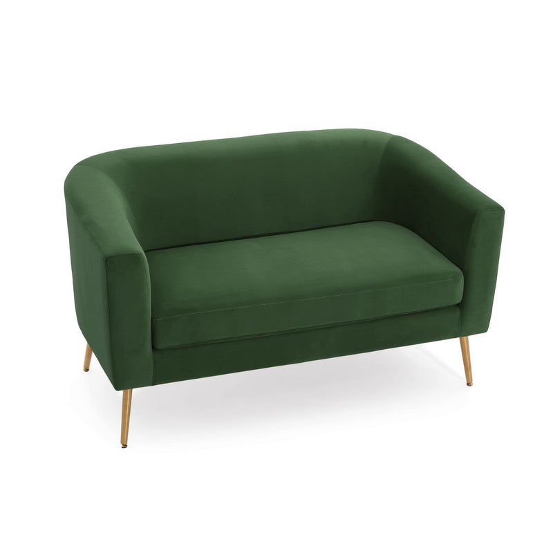 Modern Elegant Design Style Loveseat