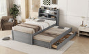 LED Platform Bed With Trundle With Storage Headboard With Drawers