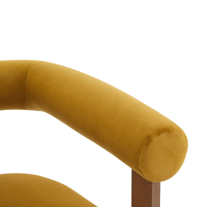 Modern Upholstered Round Arm Accent Chair With Velvet Upholstery