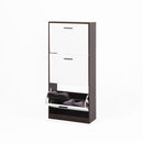 Modern Freestanding Shoe Storage Cabinet With 3 Flip Drawers