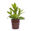 3 Pieces Flowerpot, Planter For Patio, Garden Or Windowsills