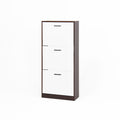 Modern Freestanding Shoe Storage Cabinet With 3 Flip Drawers