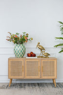 Wooden Accent TV Cabinet With 3 Doors - Brown