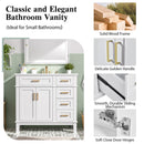 Modern Bathroom Vanity With Ceramic Sink, Soft Close Storage Cabinet