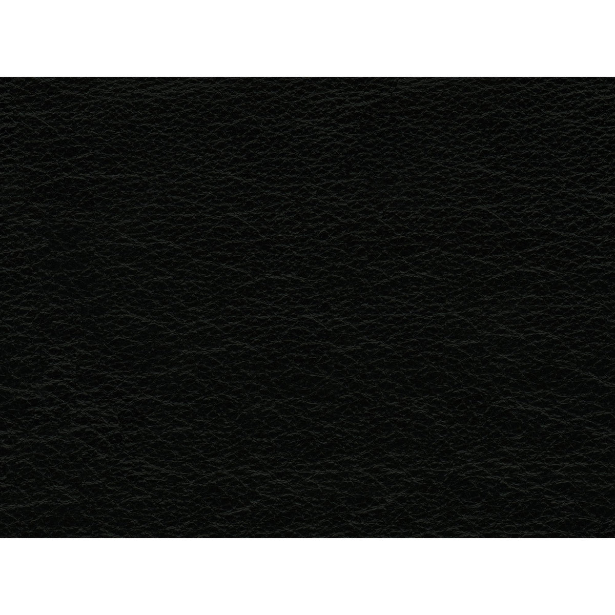 Hampton Chair in Black by Elements International, view 16