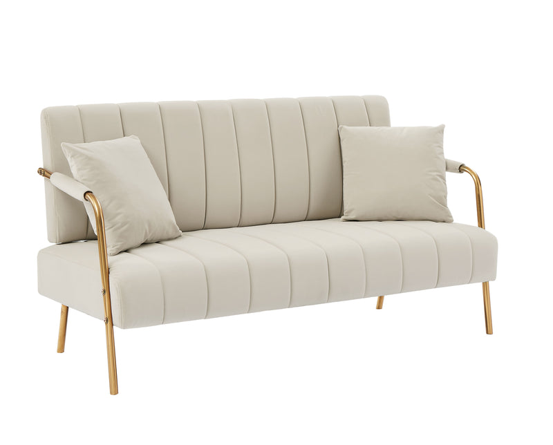 Modern And Comfortable Australian Cashmere Fabric Sofa, Comfortable Loveseat With Two Throw Pillows